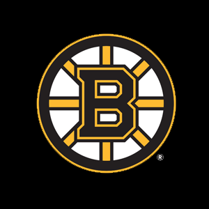 Boston Bruins